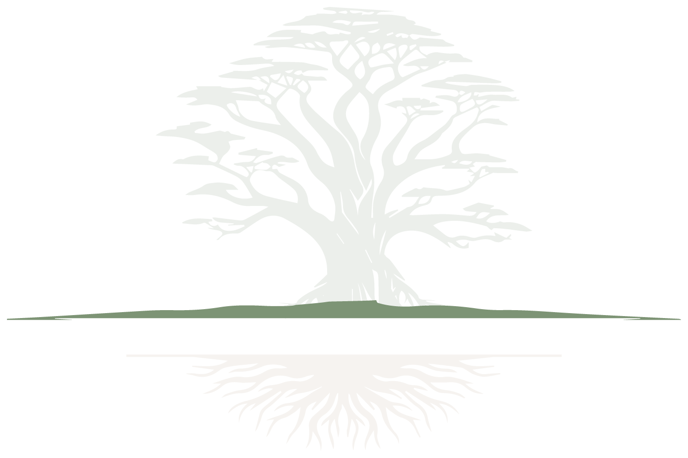 Seed