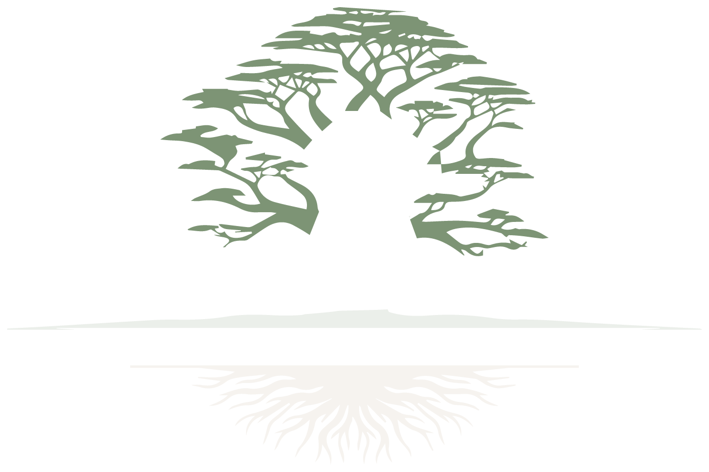 Canopy