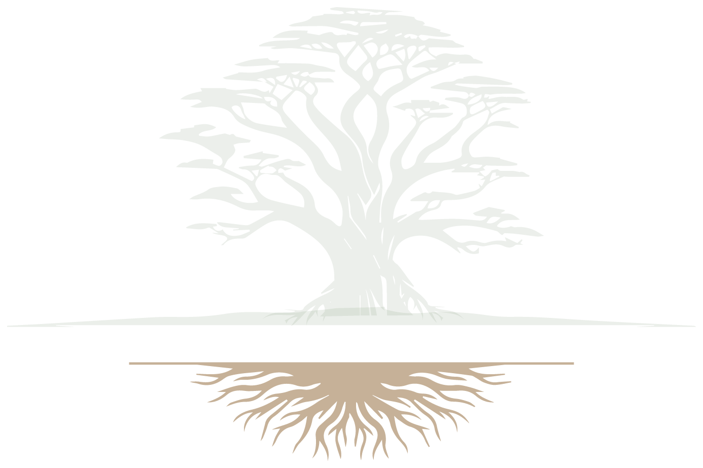 Roots